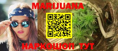 индика Кандалакша