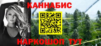 индика Кандалакша