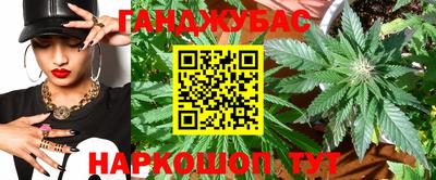 индика Кандалакша