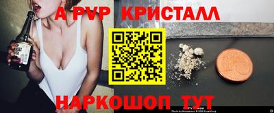 индика Кандалакша