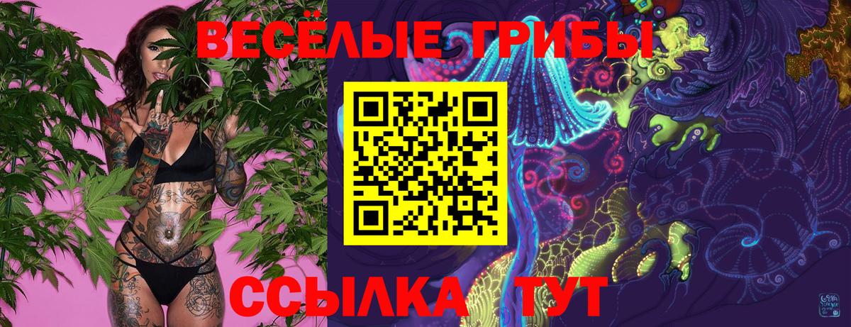 Псилоцибиновые грибы прущие грибы Краснознаменск